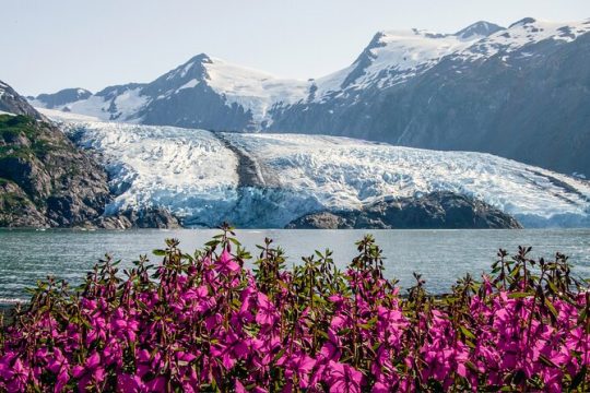 New Year’s Day long weekend in Seward