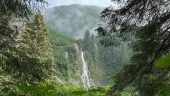 Sites and Scenes of Sitka