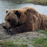 Holiday & Seasonal Tours