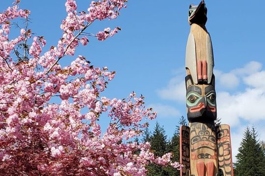 3 Hour Private Tour with a Local Native ( Price up to 6 )