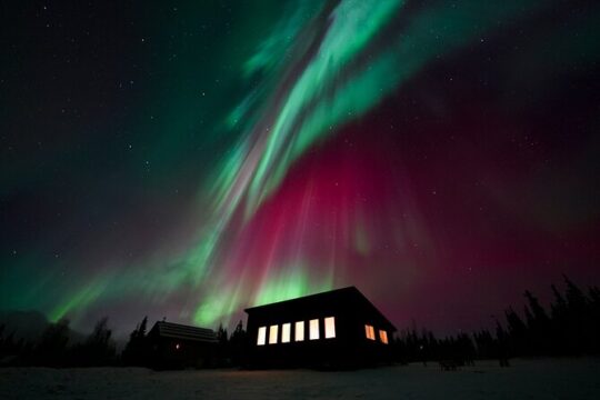 4-Hour Aurora Viewing Experience at Aurora Camp