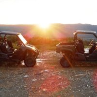Shore Excursions