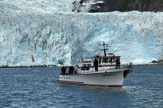 Kenai Fjords Sightseeing and Fishing Tour