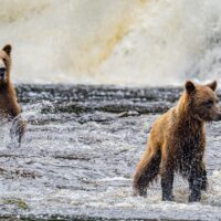 Sustainable Tours