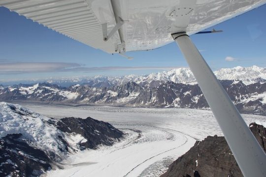 Denali Southside Adventure Flightseeing Tour from Talkeetna