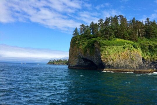Private Charter Scenic Wildlife Excursion for Cruise Passengers