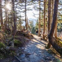 Hiking & Camping