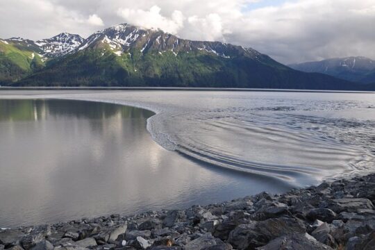 Anchorage to Seward Wildlife Adventure