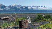 Tonsina Beach Hike