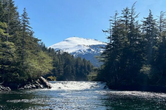 Small Group Boat Tour of Sitka
