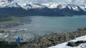 Great Hike! Fantastic Views of Seward! Great Guide!