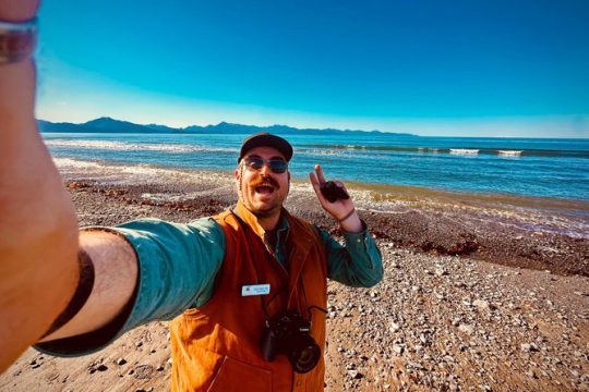 Veteran's Day in Homer