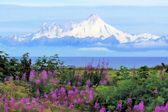 SUV-Private Transfer, Seward Cruise ship to Anchorage