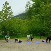 Yoga Classes