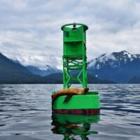 Holiday & Seasonal Tours
