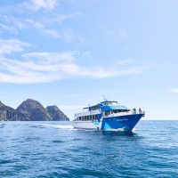 Private & Custom Tours