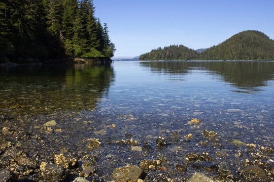 Valentine's Day in Sitka