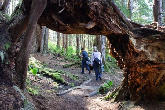 Sitka Guided Hike Adventure