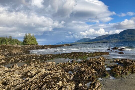 Scenic Drive Tour Through the Rainforest of Ketchikan Alaska