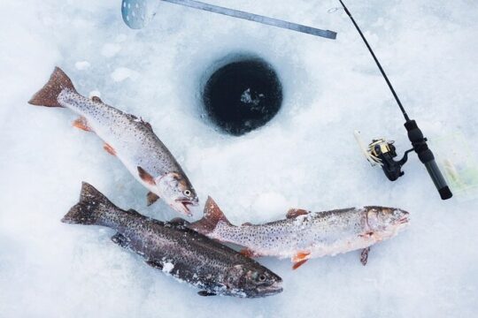The Date with Aurora: Ice Fishing Tour from Fairbanks