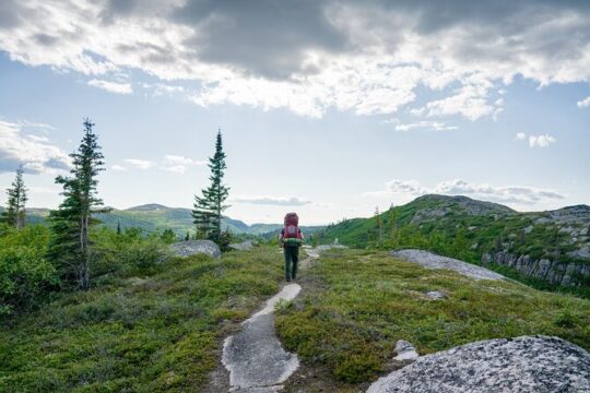 K'esugi Ridge Multiday Backpacking Tour