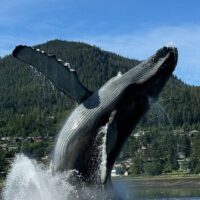 Holiday & Seasonal Tours