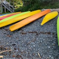 Boat Rentals