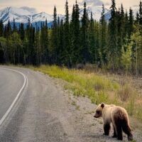 Private & Custom Tours