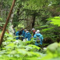 Walking & Biking Tours