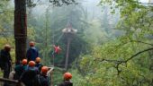 Darcy, Gwen, and Shad were amazing during my visit to the rope course and zipline park