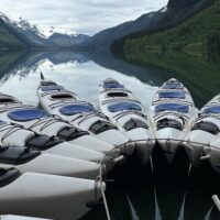 Boat Tours