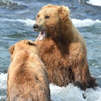 Day Trips & Excursions