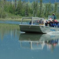 Jet Boats & Speed Boats