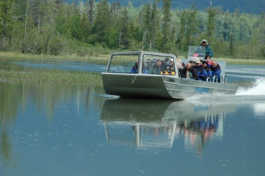 Chilkat River Jet-Boat Adventure in Haines