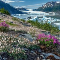 Walking & Biking Tours