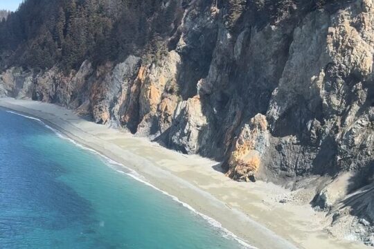 Seward Scenic 30 min Flight