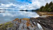Great experience on our Ketchikan Rainforest Hike