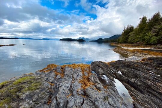 3-Hour Rainforest, Beach & Wildlife Walk