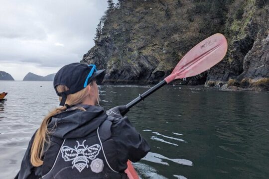 Resurrection Bay Waterfall And Rainforest Adventure Bus And Kayak
