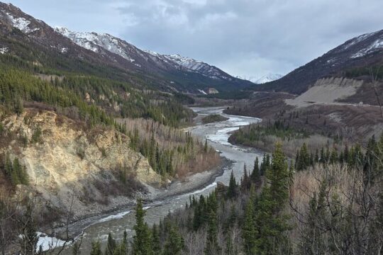 Denali National Park Bus Tour Experience