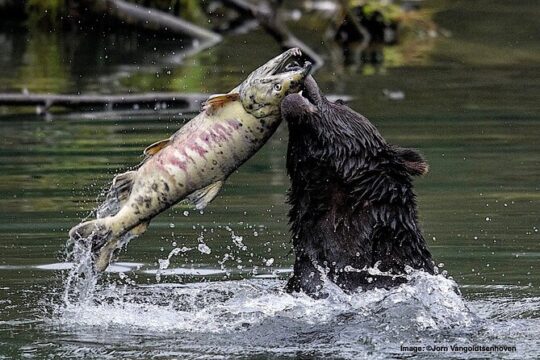 Ketchikan Private Tour