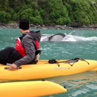 Multi-day & Extended Tours