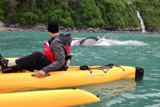Sailing Alaska's Inside Passage 4 Day Private Tour