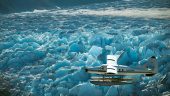 Great experience in Juneau Alaska