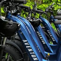 Bike Rentals
