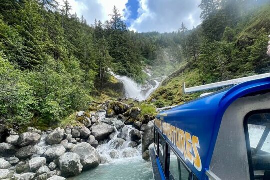 Wrangell Alaska Marine Sightseeing Tour