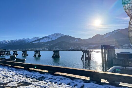 Juneau Top Sight Seeing Group Tour