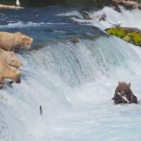 Tours & Sightseeing