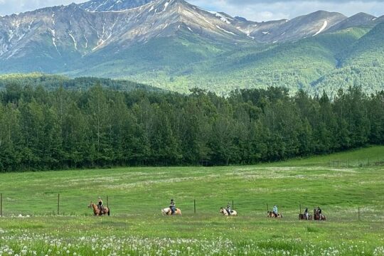 Trail Ride and Working Homestead Tour