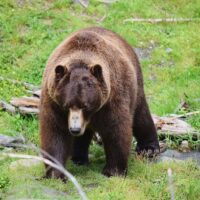 Beer & Brewery Tours